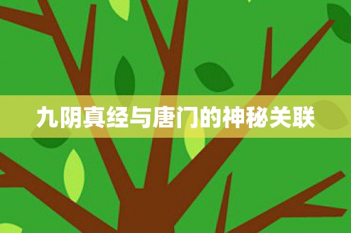 九阴真经与唐门的神秘关联图片