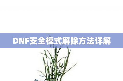DNF安全模式解除方法详解图片