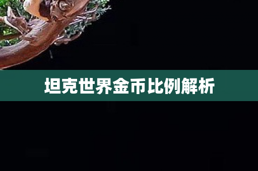 坦克世界金币比例解析图片