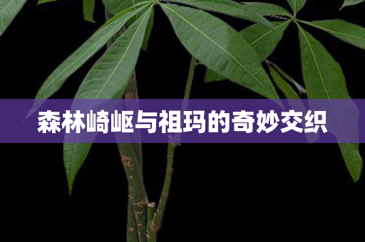 森林崎岖与祖玛的奇妙交织图片