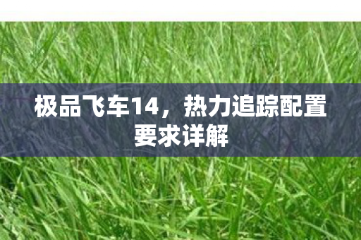 热力追踪配置要求详解图片