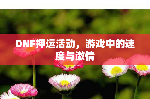 游戏中的速度与激情图片