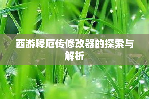西游释厄传修改器的探索与解析图片