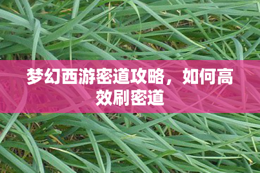 梦幻西游密道攻略图片