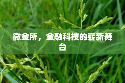 金融科技的崭新舞台图片