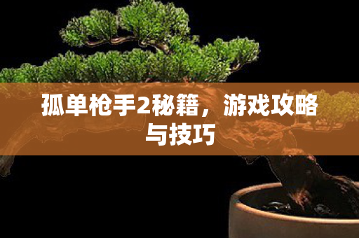 孤单枪手2秘籍图片