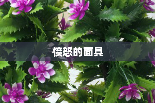 愤怒的面具图片