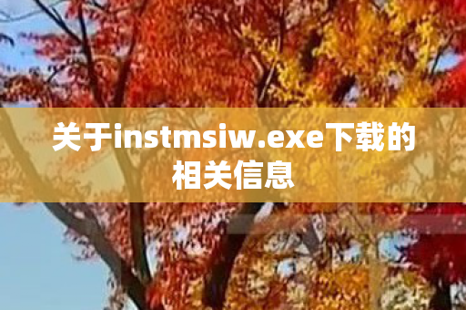 关于instmsiw图片
