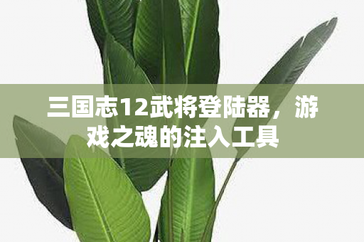 三国志12武将登陆器图片