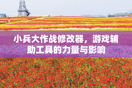 游戏辅助工具的力量与影响图片