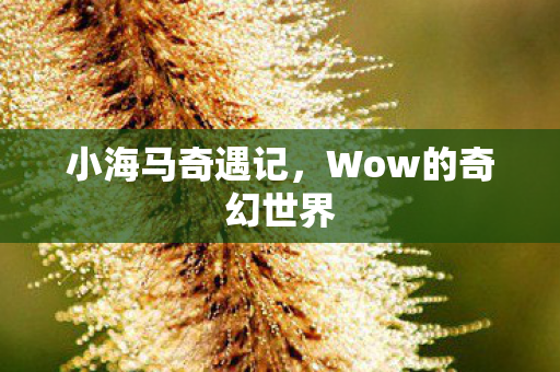 Wow的奇幻世界图片