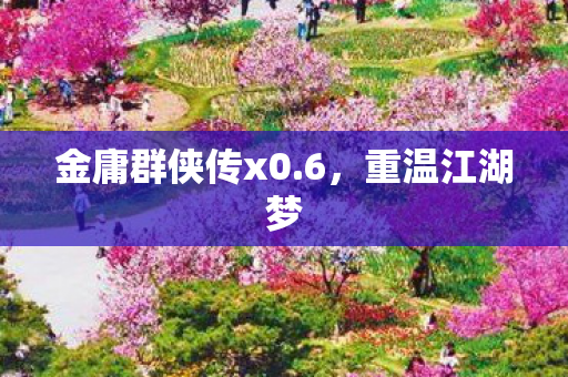 金庸群侠传x0图片