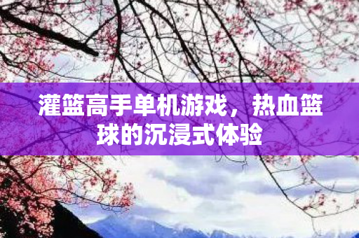 热血篮球的沉浸式体验图片