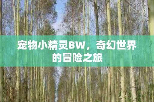 奇幻世界的冒险之旅图片
