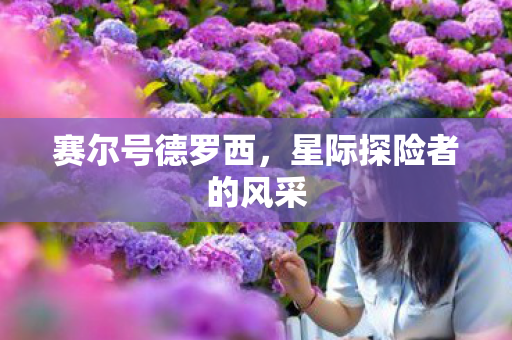 星际探险者的风采图片