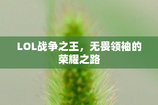 无畏领袖的荣耀之路图片