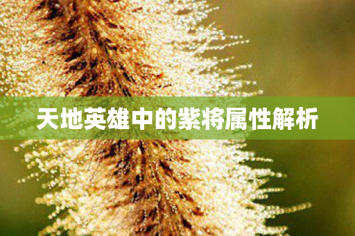 天地英雄中的紫将属性解析图片