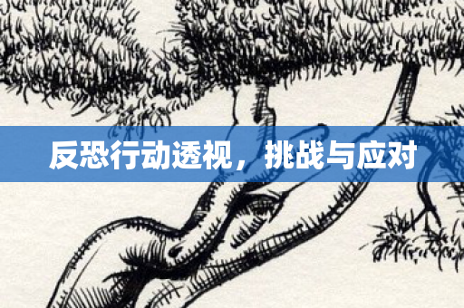 反恐行动透视图片