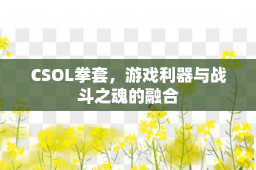 游戏利器与战斗之魂的融合图片