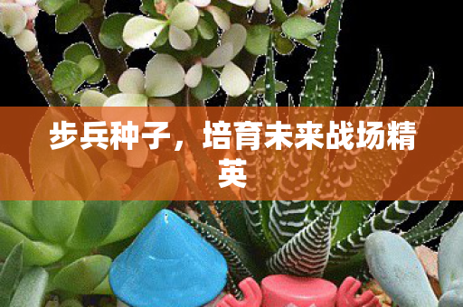 培育未来战场精英图片