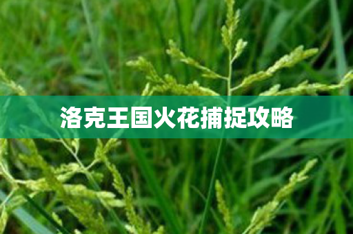 洛克王国火花捕捉攻略图片