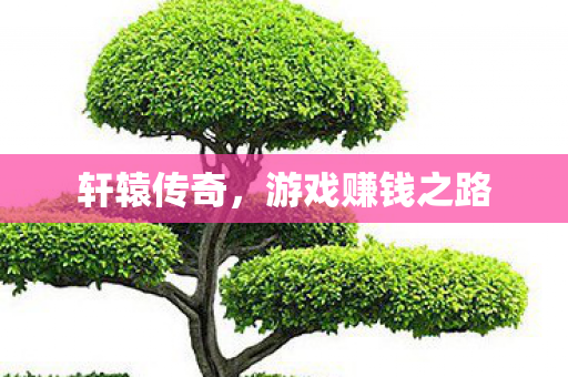游戏赚钱之路图片