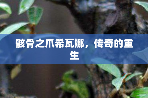 骸骨之爪希瓦娜图片