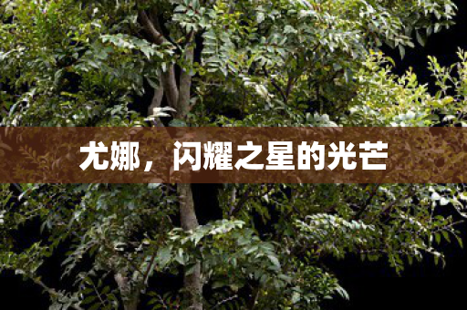 闪耀之星的光芒图片