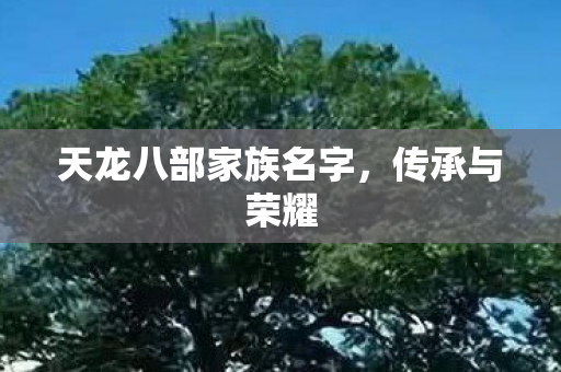 天龙八部家族名字图片