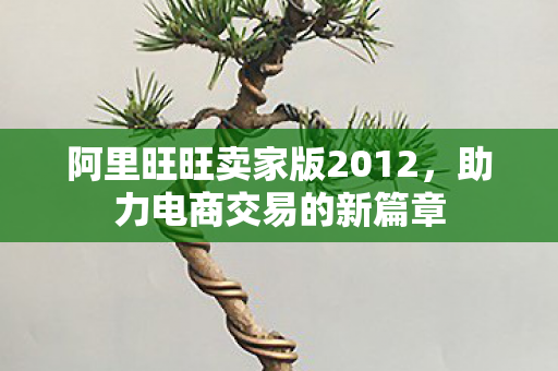 阿里旺旺卖家版2012图片