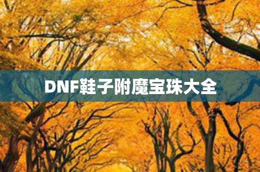 DNF鞋子附魔宝珠大全图片
