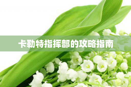 卡勒特指挥部的攻略指南图片