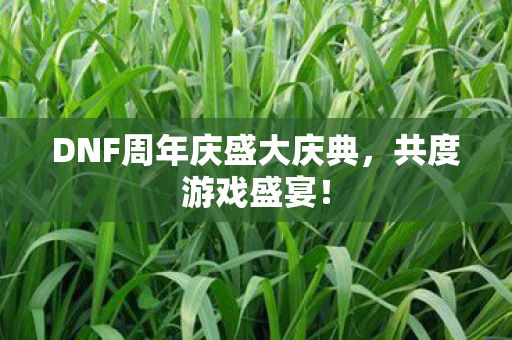 DNF周年庆盛大庆典图片