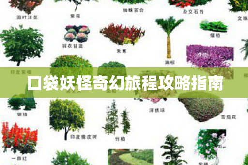 口袋妖怪奇幻旅程攻略指南图片