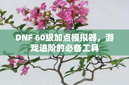 DNF 60级加点模拟器图片