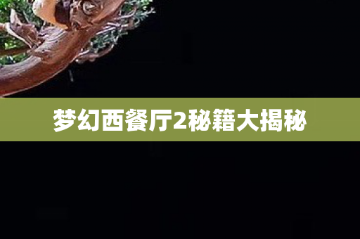 梦幻西餐厅2秘籍大揭秘图片