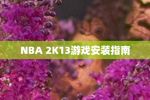 NBA 2K13游戏安装指南图片