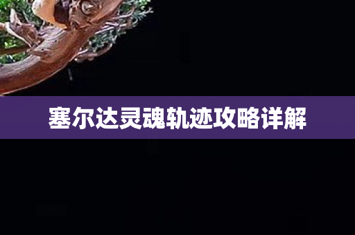 塞尔达灵魂轨迹攻略详解图片