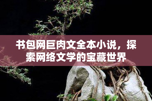 探索网络文学的宝藏世界图片
