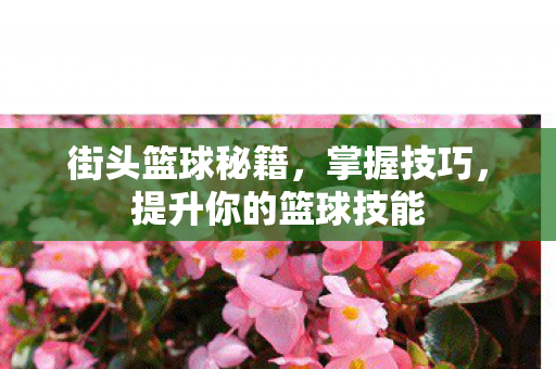 提升你的篮球技能图片