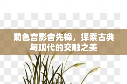 探索古典与现代的交融之美图片