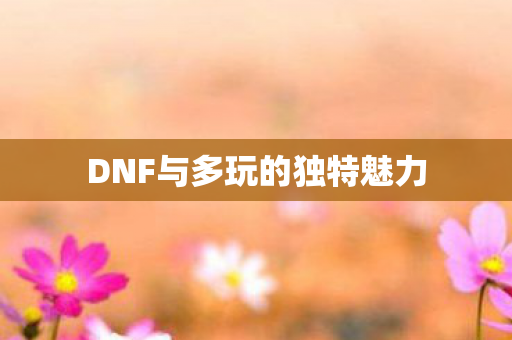DNF与多玩的独特魅力图片