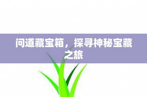 探寻神秘宝藏之旅图片