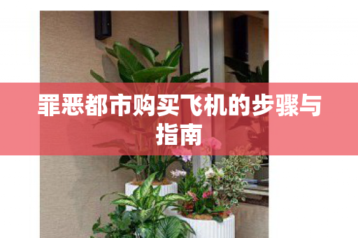 罪恶都市购买飞机的步骤与指南图片