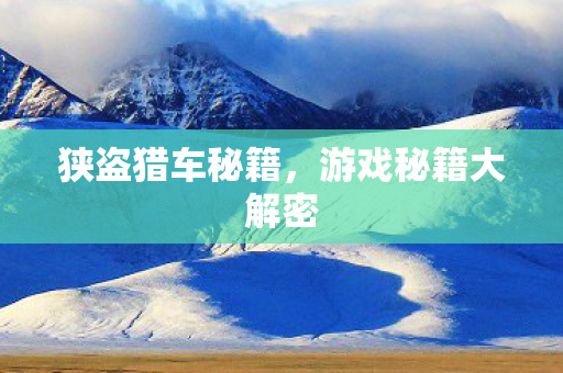 游戏秘籍大解密图片