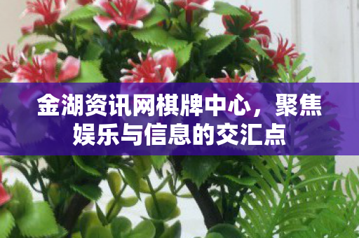 聚焦娱乐与信息的交汇点图片