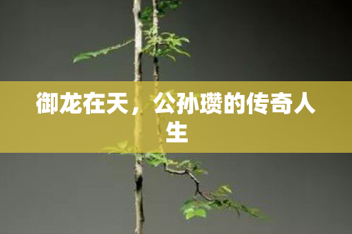 公孙瓒的传奇人生图片
