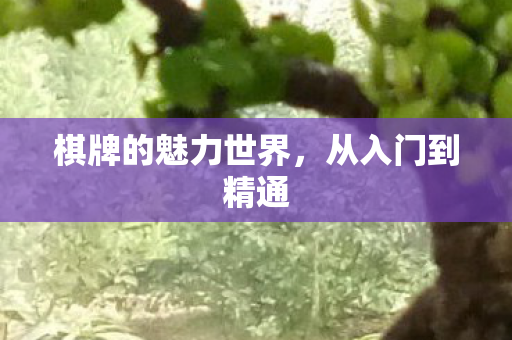 棋牌的魅力世界图片