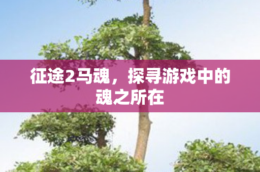 探寻游戏中的魂之所在图片