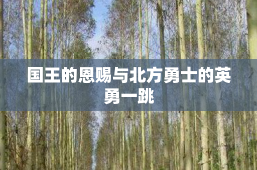 国王的恩赐与北方勇士的英勇一跳图片